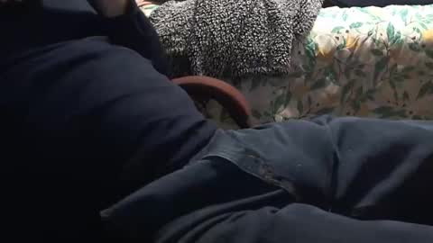 thetnguy online show from January 12, 2025, 3:17 am