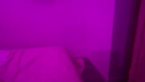 The Wild Wonderland online show from January 8, 2026, 2:14 am