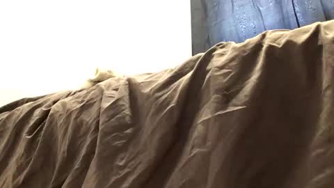Snapshot of thickdickclit chatting on March 27, 2026, 6:40 pm thickdickclit online show from March 27, 2026, 6:40 pm
