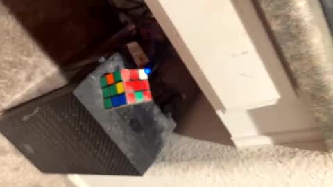 Thiccccc online show from March 6, 2025, 8:08 am