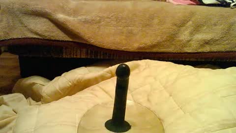 Thongsandstocking online show from December 1, 2025, 11:21 pm