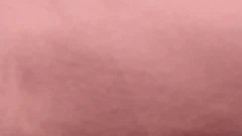 Snapshot of tibustream chatting on April 16, 2026, 9:50 pm tibustream online show from April 16, 2026, 9:50 pm