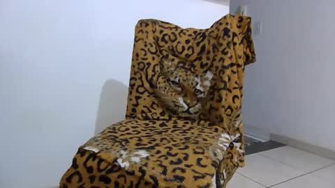 Snapshot of ticomineiro chatting on November 1, 2025, 2:46 am ticomineiro online show from November 1, 2025, 2:46 am