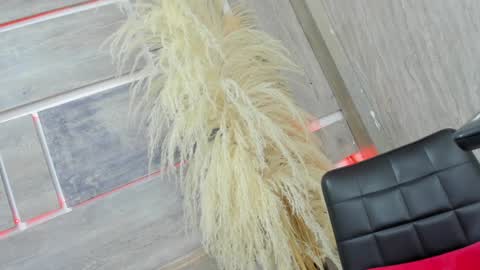 Tiffany online show from February 5, 2025, 7:50 am