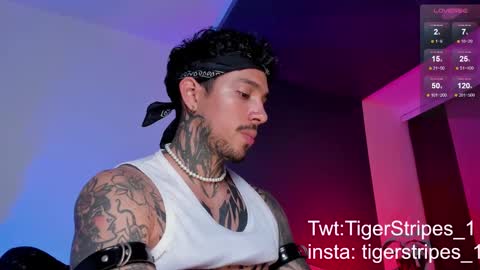 Snapshot of tigerstripes_ chatting on March 11, 2025, 10:42 pm Chris online show from March 11, 2025, 10:42 pm