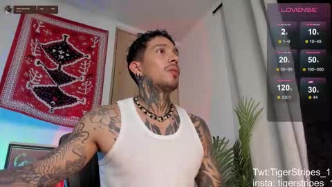 Snapshot of tigerstripes_ chatting on March 4, 2026, 1:11 am Chris online show from March 4, 2026, 1:11 am