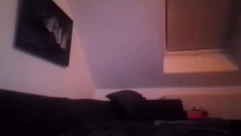 tigertrance online show from November 17, 2025, 1:55 am