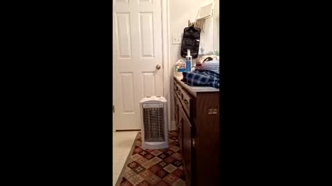 timb800000 online show from January 11, 2026, 3:28 pm