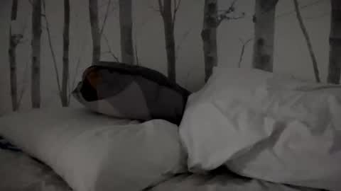 Tim online show from March 11, 2025, 8:30 am