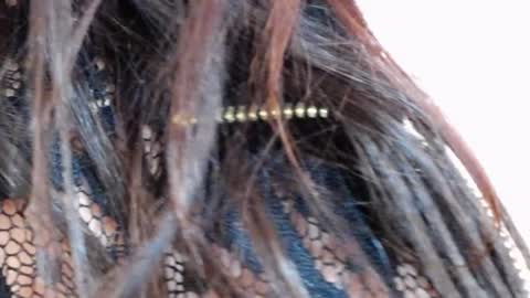 Snapshot of tinakay1 chatting on December 17, 2024, 12:11 pm tinakay1 online show from December 17, 2024, 12:11 pm