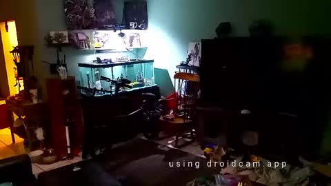 tinalover4u2 online show from November 17, 2025, 6:35 pm