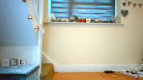 Tinyasian911718 sweetinyasian instagram online show from December 18, 2024, 1:34 pm