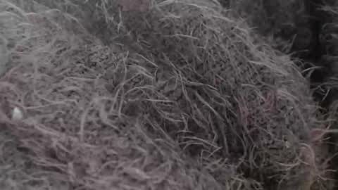 tinyslut66 online show from March 30, 2026, 9:43 am