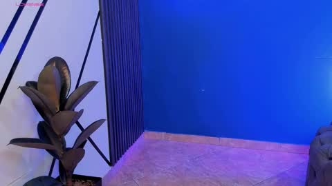 todoroki_g online show from October 29, 2025, 12:29 pm