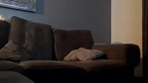 Snapshot of tommygee8805 chatting on December 6, 2024, 4:36 am Tonyfun online show from December 6, 2024, 4:36 am