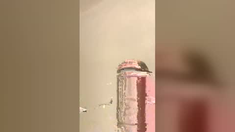 Snapshot of tommygun4969 chatting on February 5, 2026, 12:37 am tommygun4969 online show from February 5, 2026, 12:37 am