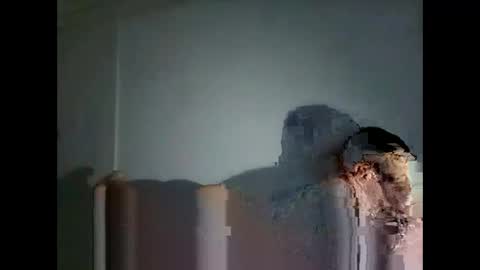 tonny54880 online show from January 31, 2026, 7:11 pm