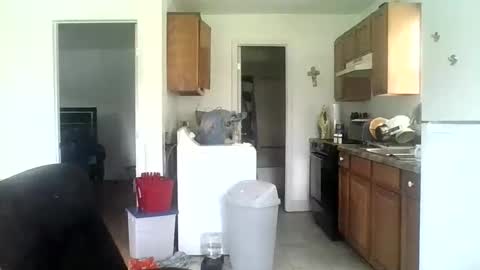 Snapshot of tonyguidofloyd chatting on June 2, 2026, 4:31 pm Tony Floyd online show from June 2, 2026, 4:31 pm