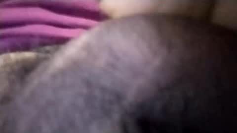 torresabel762 online show from April 8, 2026, 3:56 pm