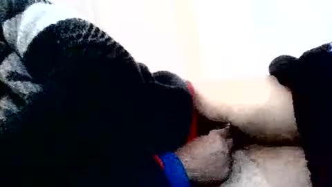 Snapshot of torresurionasantos chatting on February 2, 2026, 5:22 pm torresurionasantos online show from February 2, 2026, 5:22 pm