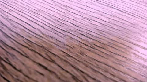 Snapshot of toshi_dakxxx chatting on April 2, 2026, 1:31 pm toshi_dakxxx online show from April 2, 2026, 1:31 pm