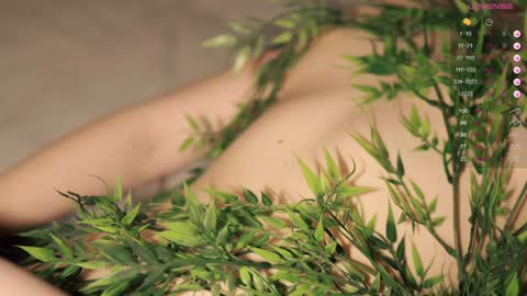 Toshi online show from December 9, 2024, 4:05 pm