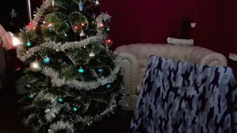   online show from December 28, 2024, 8:05 am