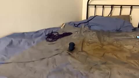 toxic2lust online show from March 4, 2026, 6:58 pm