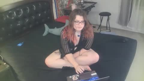 tranicpixiedreamgrl online show from November 25, 2025, 2:00 am
