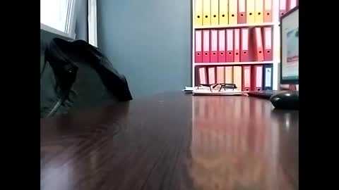 Snapshot of trapper727272 chatting on February 21, 2025, 9:24 am Big Head Cock online show from February 21, 2025, 9:24 am