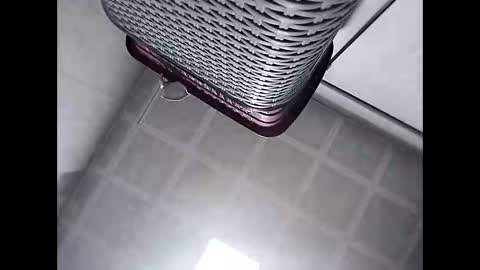 Snapshot of trapper727272 chatting on March 2, 2026, 5:41 am Big Head Cock online show from March 2, 2026, 5:41 am