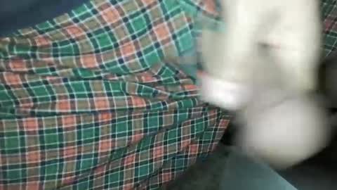 Daddy Edgalot online show from January 14, 2025, 7:06 am