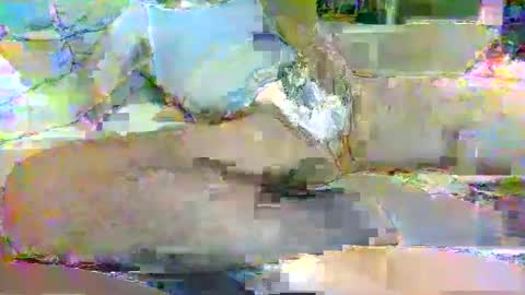 tree33007 online show from November 3, 2025, 6:25 am