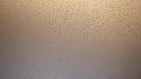 treedude303720 online show from October 16, 2025, 9:43 am