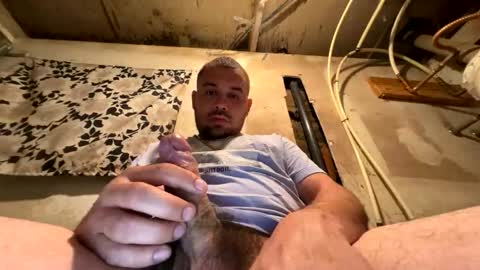 trees559 online show from March 17, 2026, 5:33 am