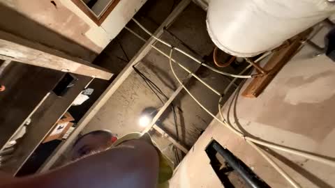 trees559 online show from March 19, 2026, 5:55 am