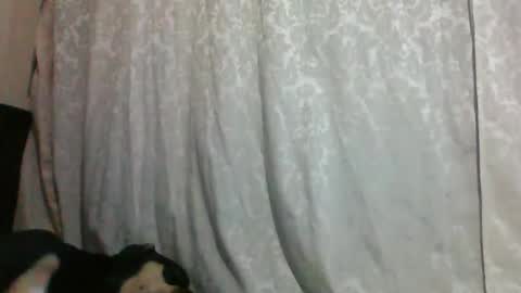 Snapshot of triana_bell chatting on January 14, 2025, 2:40 am triana_bell online show from January 14, 2025, 2:40 am