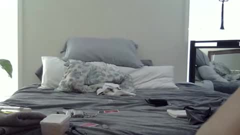 Snapshot of trickquestion chatting on February 19, 2026, 8:49 pm trickquestion online show from February 19, 2026, 8:49 pm