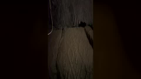 Snapshot of trickydick6 chatting on July 6, 2026, 6:43 am trickydick6 online show from July 6, 2026, 6:43 am