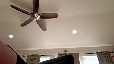 Snapshot of trillnonymau5 chatting on December 21, 2024, 6:34 pm trillnonymau5 online show from December 21, 2024, 6:34 pm