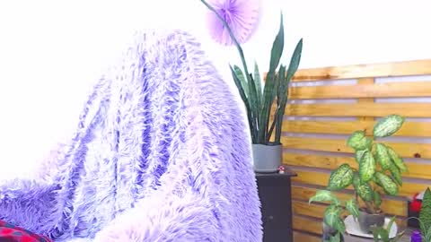 Snapshot of trix_fiore_oficial chatting on February 1, 2026, 6:34 am Trix online show from February 1, 2026, 6:34 am