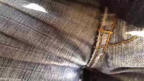 Snapshot of trobelle chatting on November 18, 2025, 11:36 am trobelle online show from November 18, 2025, 11:36 am