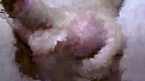 troy1965 online show from April 28, 2026, 5:45 am