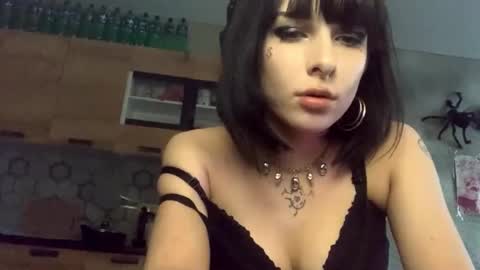 Poly online show from February 24, 2026, 1:53 pm