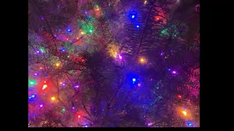 tttww33 online show from December 1, 2025, 6:24 pm