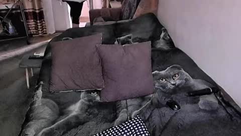 Lana online show from November 17, 2025, 7:36 am