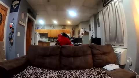 Snapshot of twicethetease2 chatting on February 8, 2026, 7:34 am twicethetease2 online show from February 8, 2026, 7:34 am