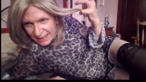 Kitten online show from December 21, 2024, 2:52 am