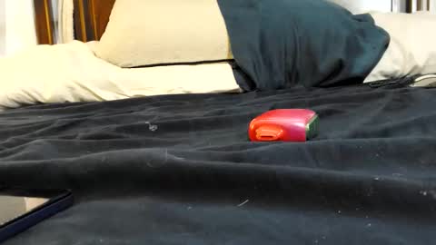 twinkkluvva online show from February 17, 2026, 5:52 pm