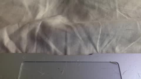 twinkybell online show from November 7, 2025, 6:19 pm